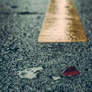 波多野结衣无码在线
